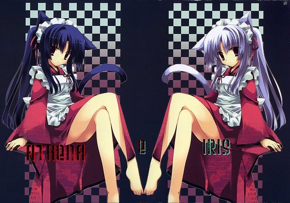 Dark and light ~