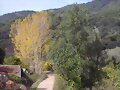 Paso que lleva al pueblo de Aracena