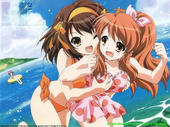 feliz cumpleaños Wii-chan!!