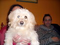 My Dog
