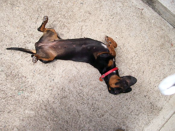 Jugando