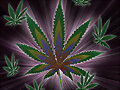 Ganja