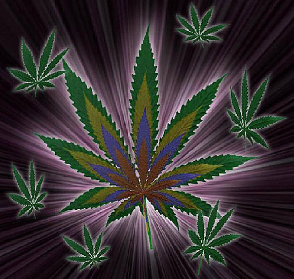 Ganja