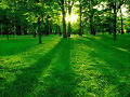 Verde, sensacion de paz.