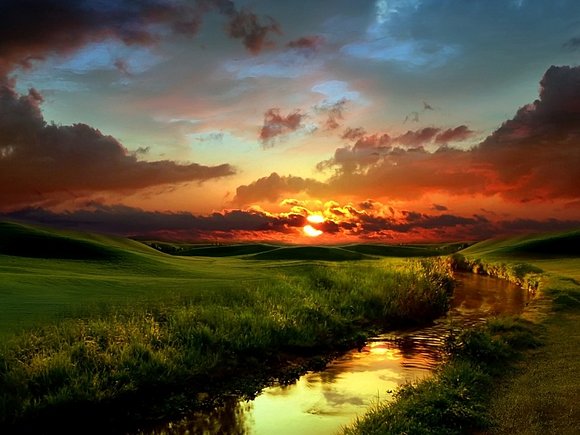 Poesia en la naturaleza.