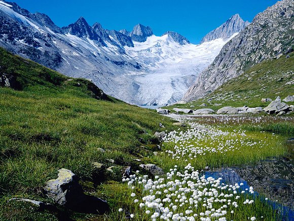 Primavera en las montañas.