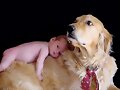 Los mejores amigos