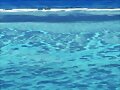 Preciosos tonos de agua