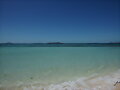 El blanco del mar