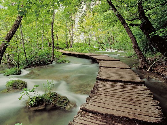 Un precioso camino de madera.