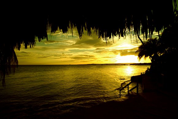 Atardecer entre ramas.