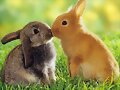 Un besito muy dulce