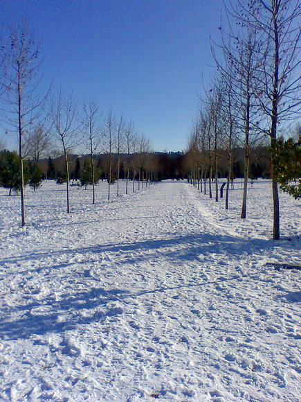 Nieve en Madrid.