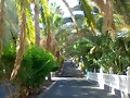 Paseo del hotel dunas paradise,fuerteventura