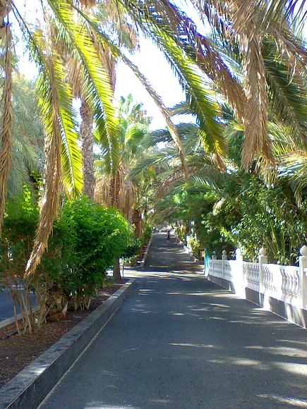 Paseo del hotel dunas paradise,fuerteventura