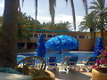 piscina del dunas paradise, fuerteventura