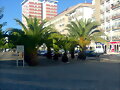Marin, camino del puerto pesquero.