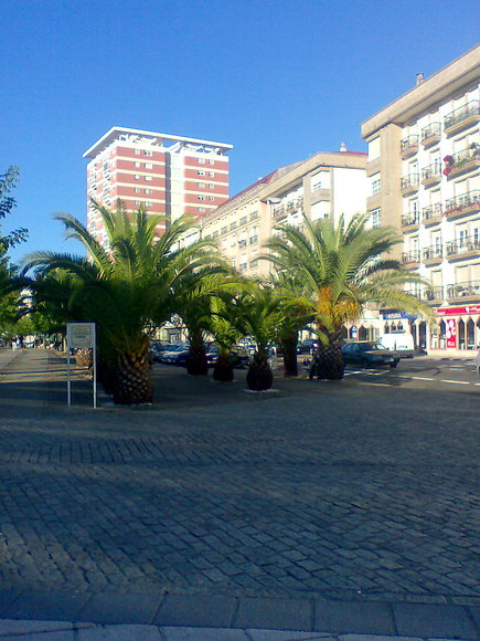 Marin, camino del puerto pesquero.