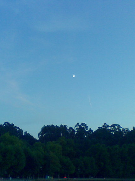 Para mis amigos del fotolog.Un besito a todos.