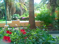 Jardines del Dunas Jandia Resort, Fuerteventura.