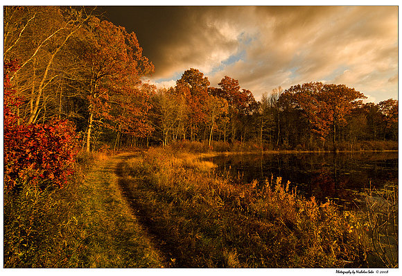 Los colores del otoño