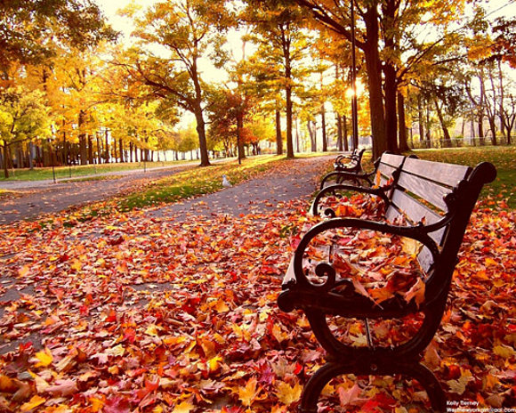 En la soledad del otoño.
