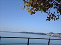 Las sombras de las hojas de oto&ntilde;o, en la playa.