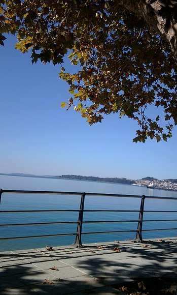 Las sombras de las hojas de otoño, en la playa.