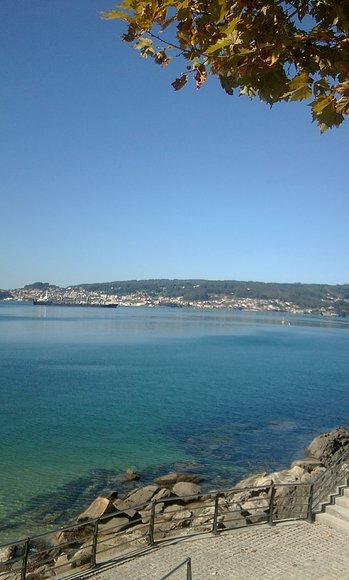 Camino de la playa