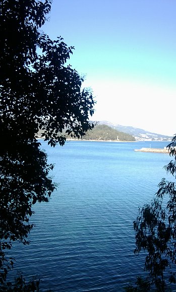 Sombras con vistas al mar.