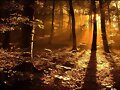 Un paseo maravilloso