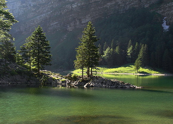 verdes