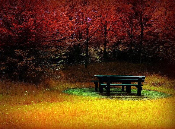 la calma del otoño