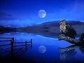 El b&uacute;ho y la Luna.