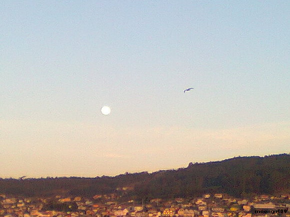 Una luna grande y mágica.