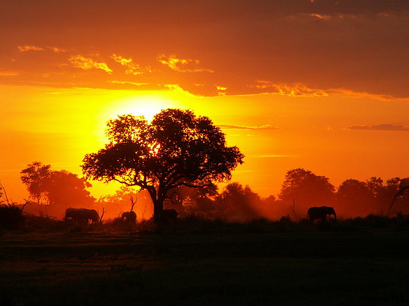 Africa...