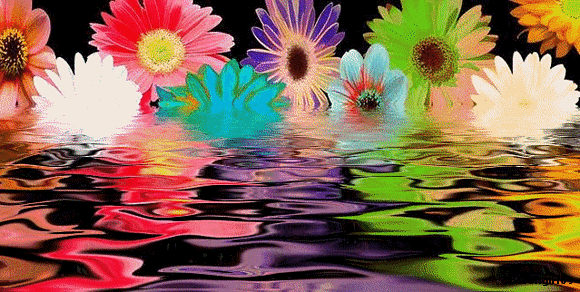 Dedicado a vosotr@s.¡¡Feliz dia