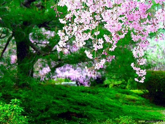 Primavera.