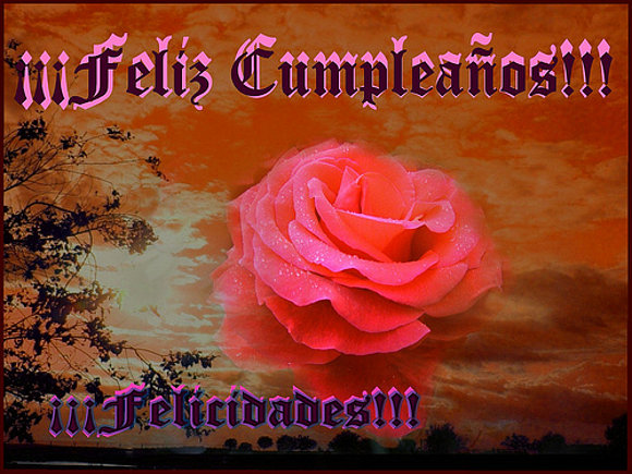 Cumple de mi amiga Charo!!