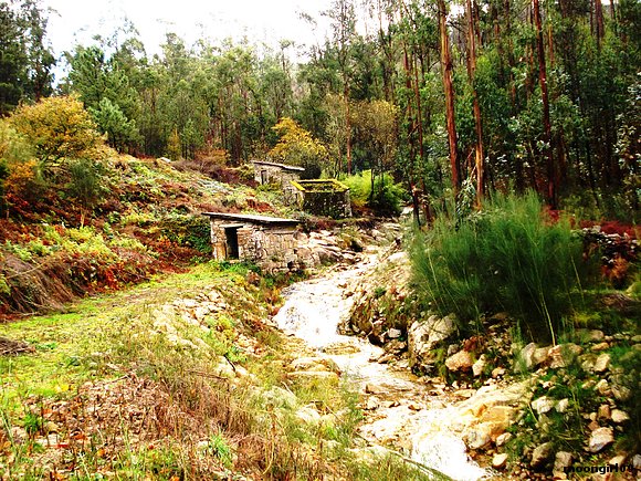 Molinos de Pontevedra,