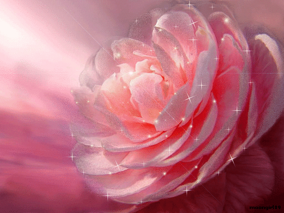 Una rosa para los amig@s de mi@.