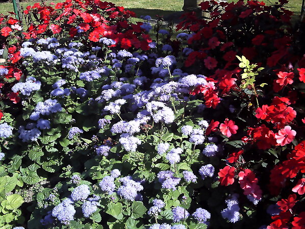 Colores...