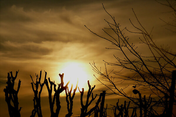 Atardecer...