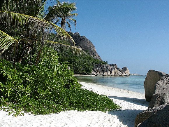 Vegetacion, playa y mar