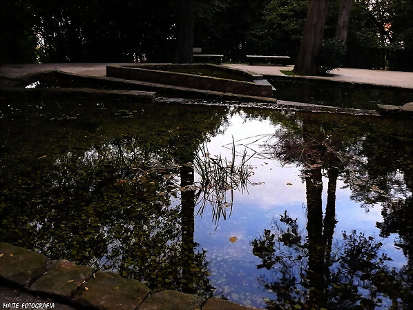 Brillos del Agua...