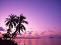 Atardecer