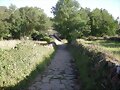 Camino frances a santiago de compostela.