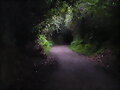 Camino de Santiago