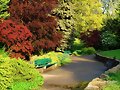 Colores de Primavera