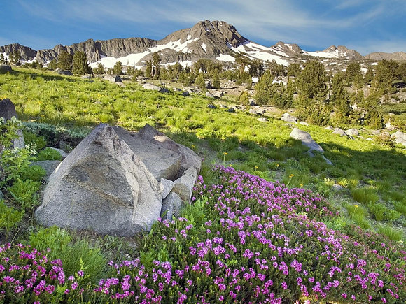 Bonita montaña